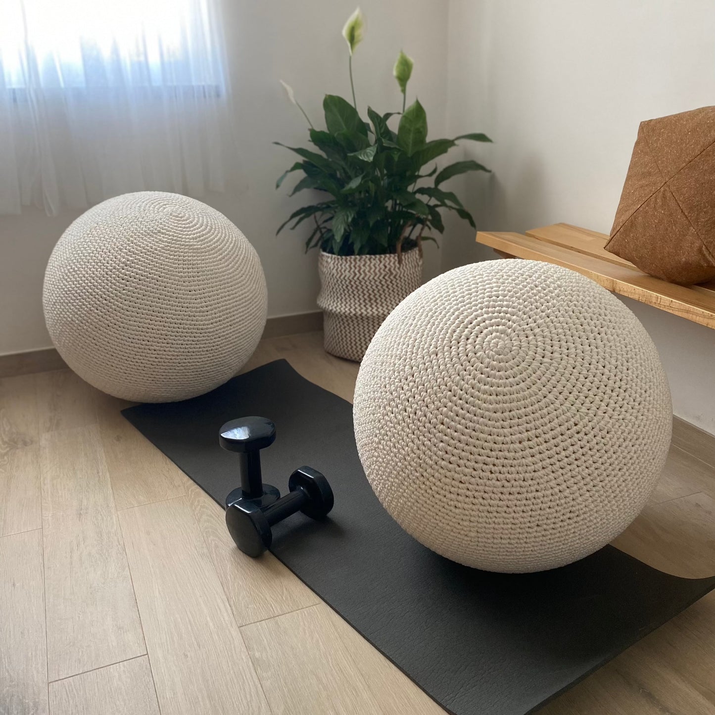 exercise ball cover, 65 cm