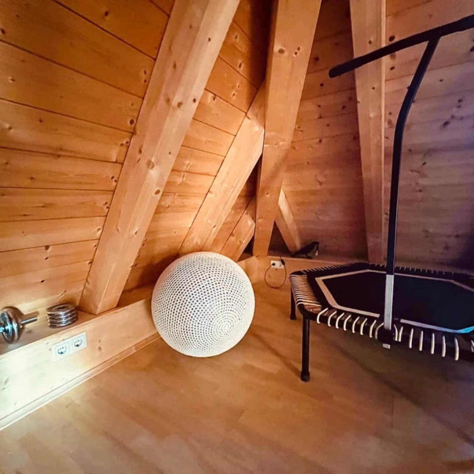 Pilates Ball Cover 85 cm - Looping Home