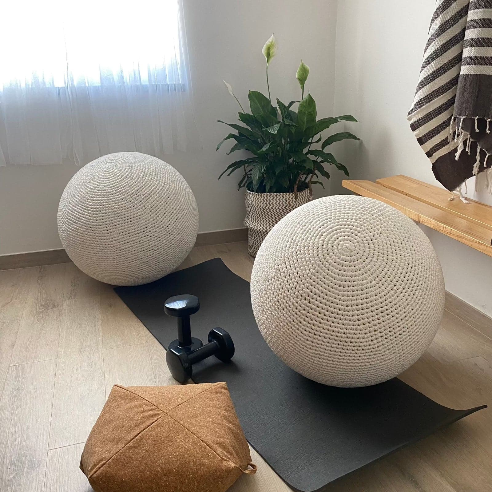 Pilates Ball Cover | 55 cm Soft Slipcovers for Gym Balls - Looping Home